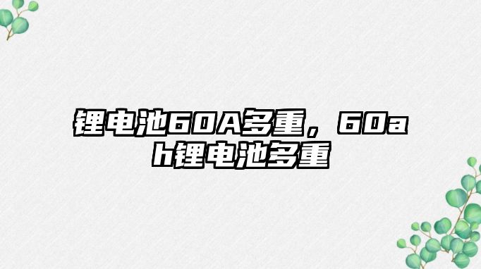 鋰電池60A多重，60ah鋰電池多重