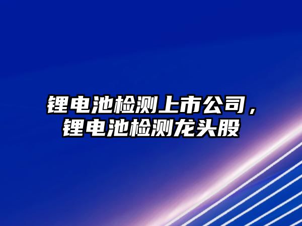 鋰電池檢測上市公司，鋰電池檢測龍頭股