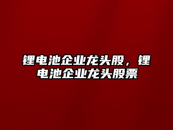 鋰電池企業(yè)龍頭股，鋰電池企業(yè)龍頭股票