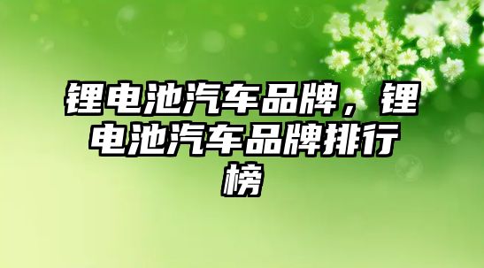 鋰電池汽車品牌，鋰電池汽車品牌排行榜