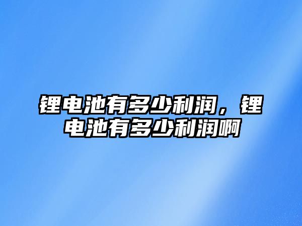 鋰電池有多少利潤，鋰電池有多少利潤啊