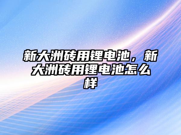 新大洲磚用鋰電池，新大洲磚用鋰電池怎么樣