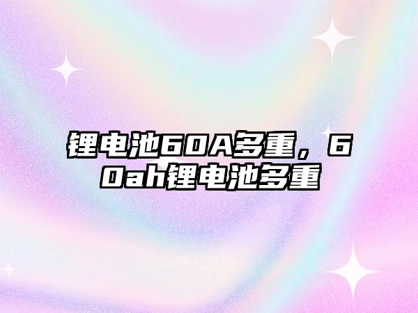 鋰電池60A多重，60ah鋰電池多重