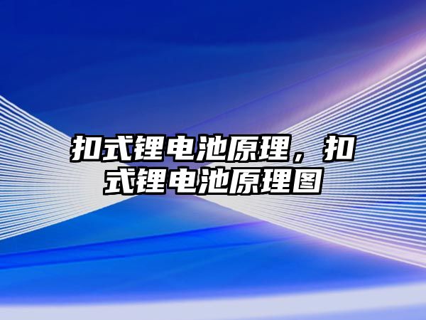 扣式鋰電池原理，扣式鋰電池原理圖