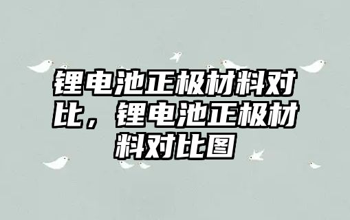 鋰電池正極材料對比，鋰電池正極材料對比圖