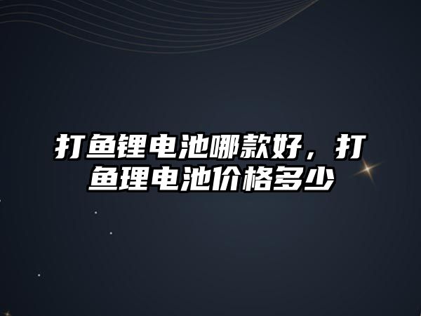 打魚鋰電池哪款好，打魚理電池價格多少