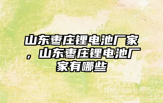 山東棗莊鋰電池廠家，山東棗莊鋰電池廠家有哪些