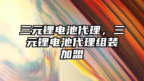 三元鋰電池代理，三元鋰電池代理組裝加盟