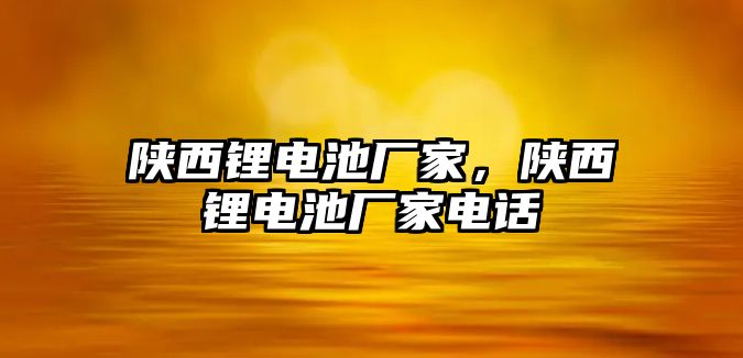 陜西鋰電池廠家，陜西鋰電池廠家電話