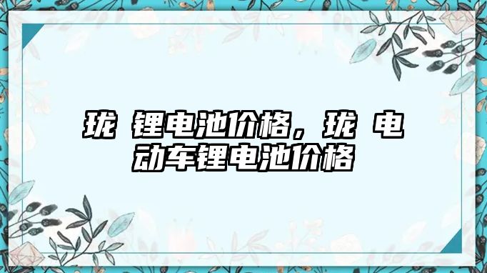 瓏玥鋰電池價格，瓏玥電動車鋰電池價格
