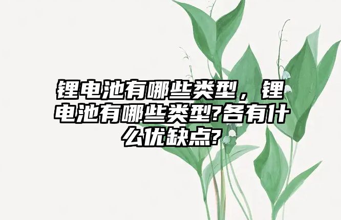 鋰電池有哪些類型，鋰電池有哪些類型?各有什么優(yōu)缺點?