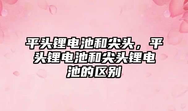 平頭鋰電池和尖頭，平頭鋰電池和尖頭鋰電池的區別