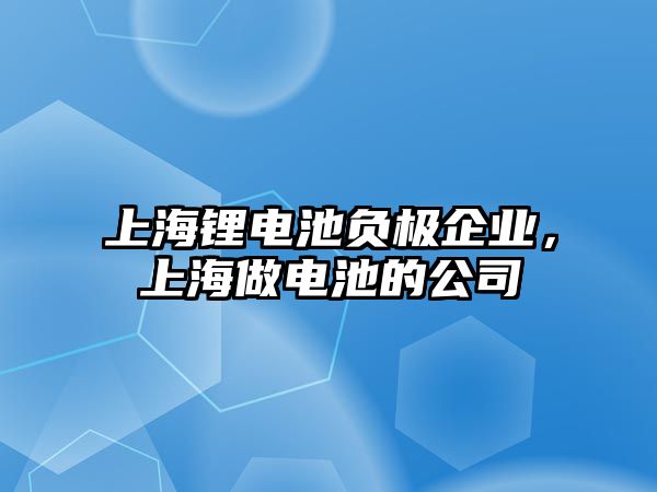 上海鋰電池負(fù)極企業(yè)，上海做電池的公司