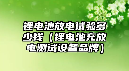 鋰電池放電試驗多少錢（鋰電池充放電測試設備品牌）