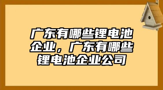 廣東有哪些鋰電池企業，廣東有哪些鋰電池企業公司