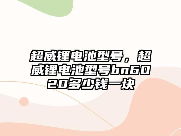 超威鋰電池型號，超威鋰電池型號bn6020多少錢一塊