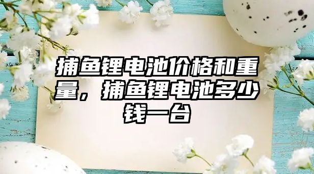 捕魚鋰電池價格和重量，捕魚鋰電池多少錢一臺