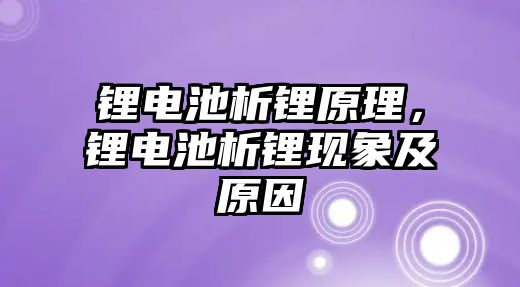 鋰電池析鋰原理，鋰電池析鋰現象及原因