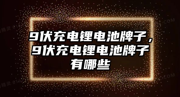 9伏充電鋰電池牌子，9伏充電鋰電池牌子有哪些