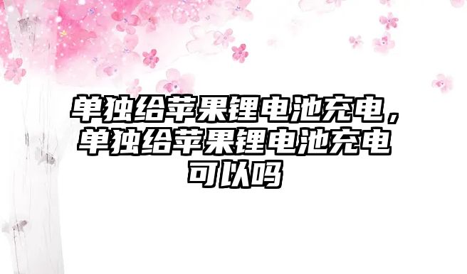 單獨(dú)給蘋果鋰電池充電，單獨(dú)給蘋果鋰電池充電可以嗎