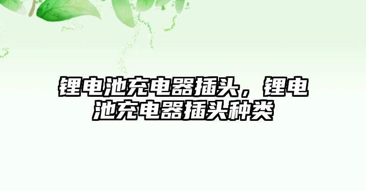 鋰電池充電器插頭，鋰電池充電器插頭種類