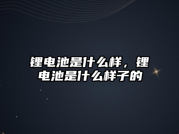 鋰電池是什么樣，鋰電池是什么樣子的