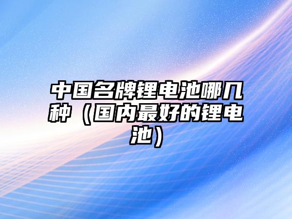 中國名牌鋰電池哪幾種（國內最好的鋰電池）