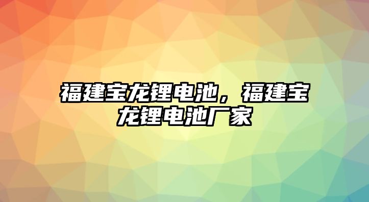 福建寶龍鋰電池，福建寶龍鋰電池廠家