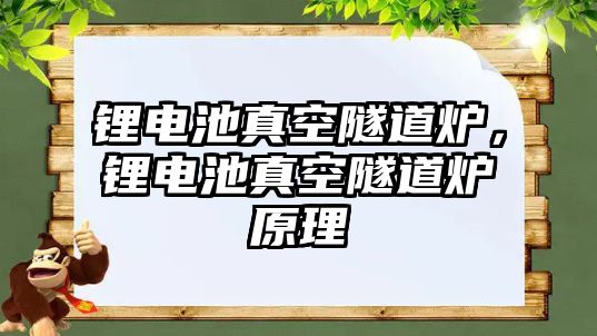 鋰電池真空隧道爐，鋰電池真空隧道爐原理