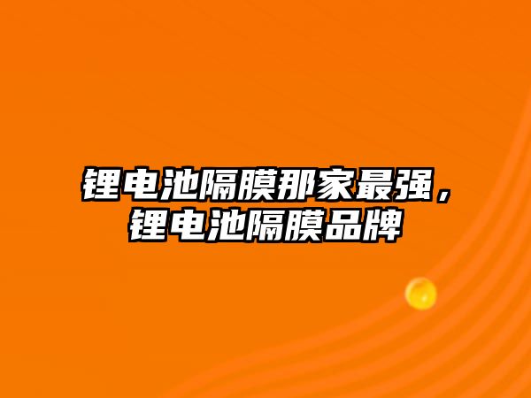 鋰電池隔膜那家最強，鋰電池隔膜品牌