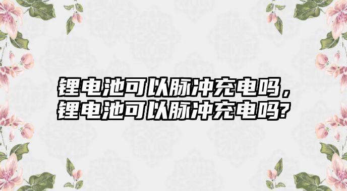 鋰電池可以脈沖充電嗎，鋰電池可以脈沖充電嗎?