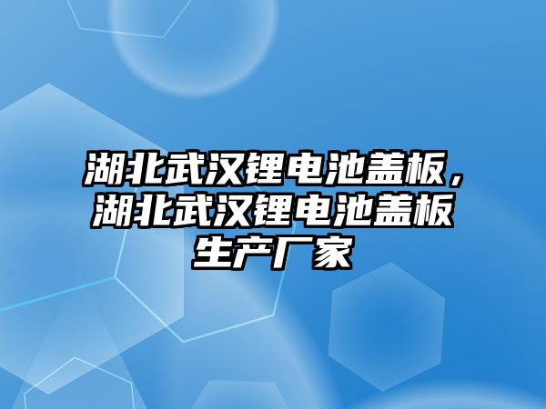 湖北武漢鋰電池蓋板，湖北武漢鋰電池蓋板生產廠家