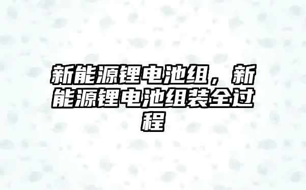 新能源鋰電池組，新能源鋰電池組裝全過程