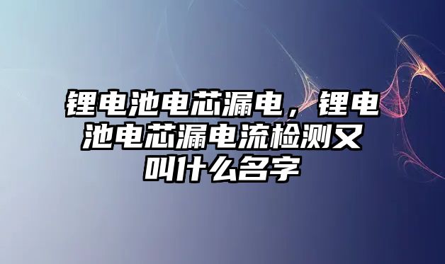 鋰電池電芯漏電，鋰電池電芯漏電流檢測又叫什么名字