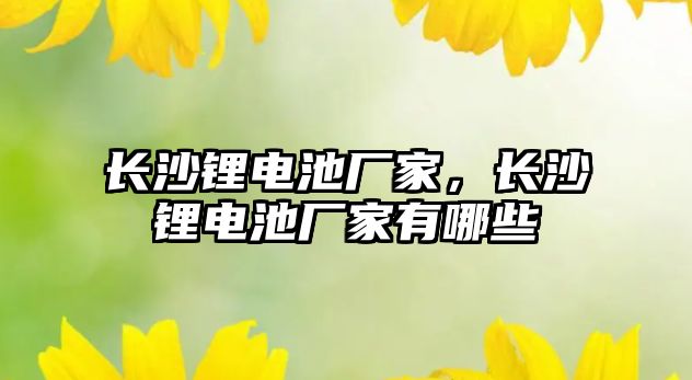 長沙鋰電池廠家，長沙鋰電池廠家有哪些