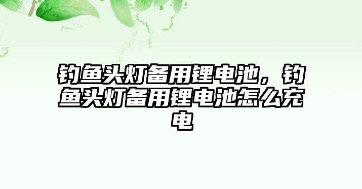 釣魚頭燈備用鋰電池，釣魚頭燈備用鋰電池怎么充電