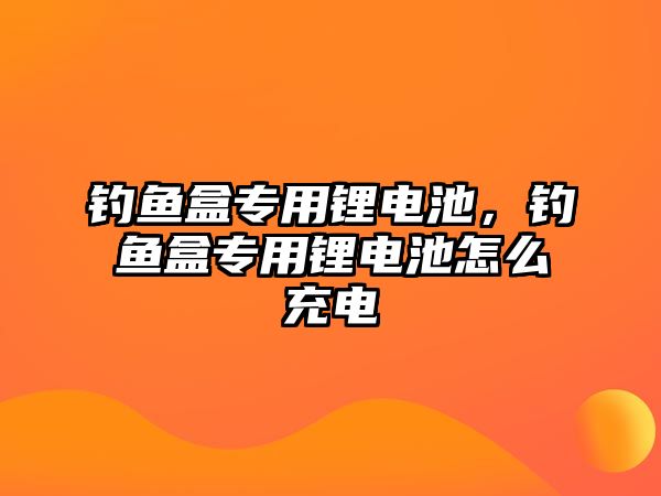 釣魚盒專用鋰電池，釣魚盒專用鋰電池怎么充電