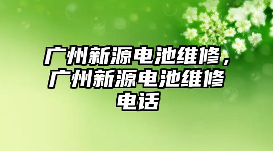 廣州新源電池維修，廣州新源電池維修電話