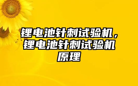 鋰電池針刺試驗機，鋰電池針刺試驗機原理