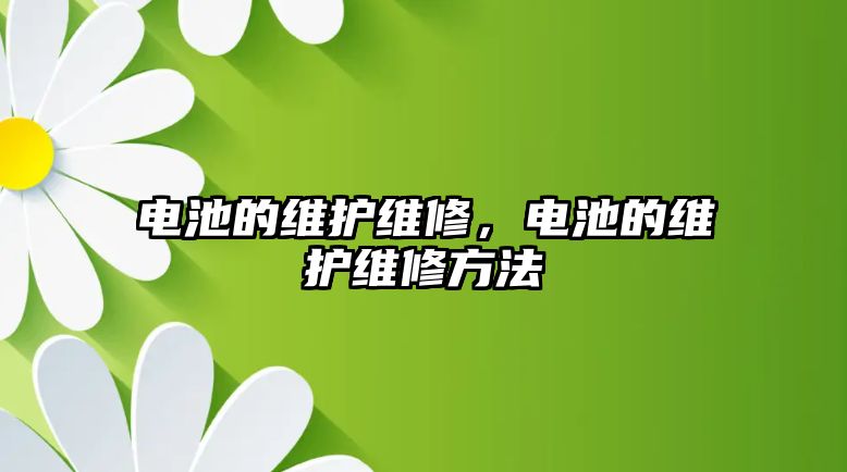 電池的維護維修，電池的維護維修方法