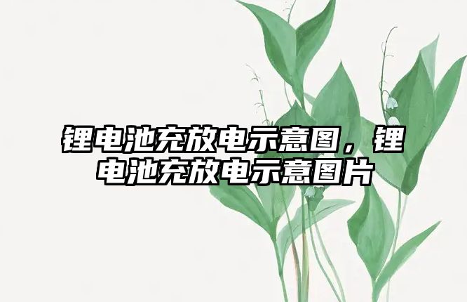 鋰電池充放電示意圖，鋰電池充放電示意圖片