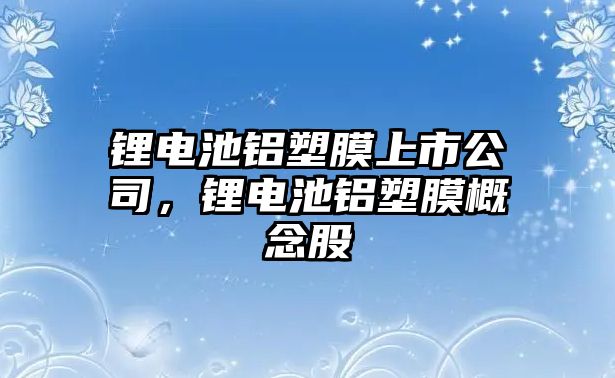 鋰電池鋁塑膜上市公司，鋰電池鋁塑膜概念股