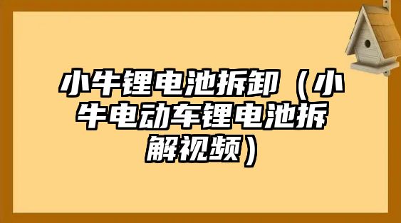 小牛鋰電池拆卸（小牛電動車鋰電池拆解視頻）