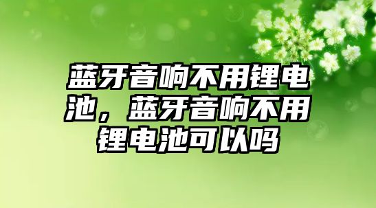 藍牙音響不用鋰電池，藍牙音響不用鋰電池可以嗎