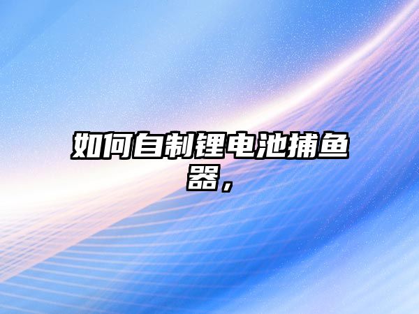 如何自制鋰電池捕魚(yú)器，