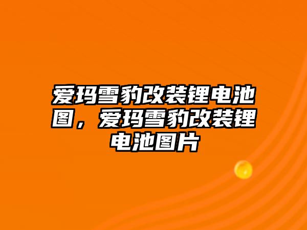 愛瑪雪豹改裝鋰電池圖，愛瑪雪豹改裝鋰電池圖片