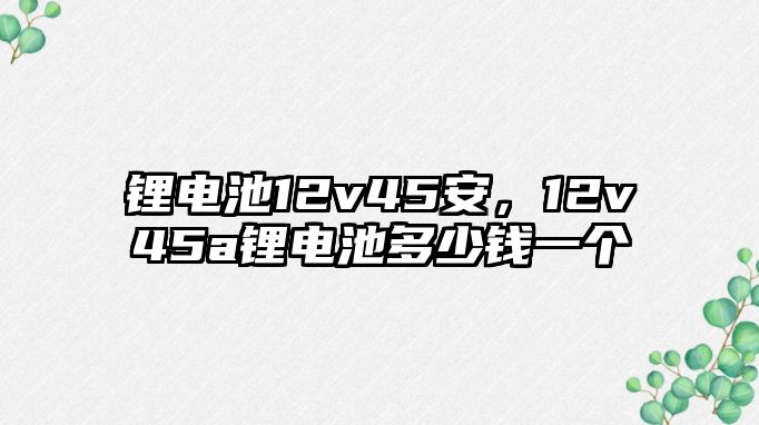 鋰電池12v45安，12v45a鋰電池多少錢一個