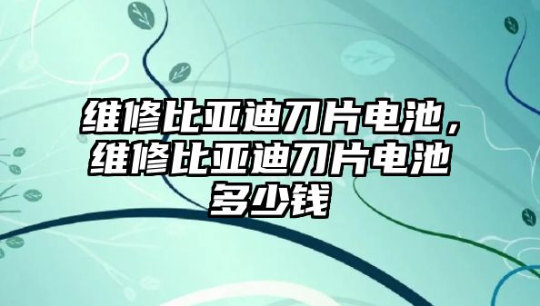 維修比亞迪刀片電池，維修比亞迪刀片電池多少錢