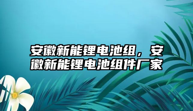 安徽新能鋰電池組，安徽新能鋰電池組件廠家