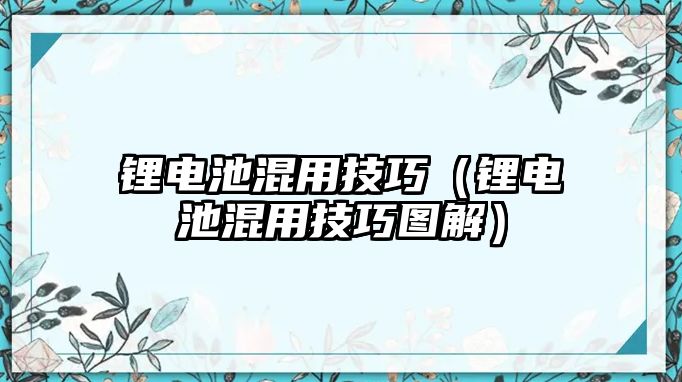 鋰電池混用技巧（鋰電池混用技巧圖解）